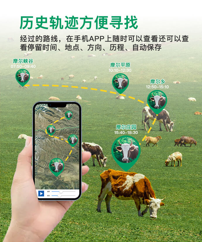 畜牧業牛羊馬定位器